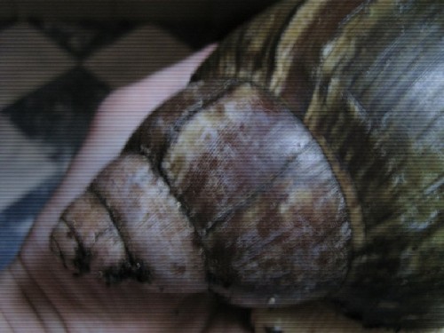 foto2.jpg