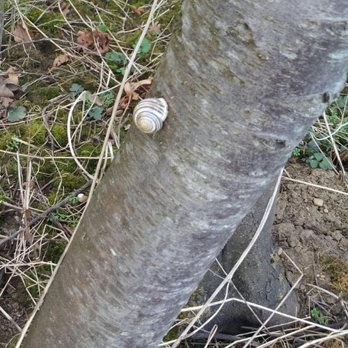 0000DZ9LCfwWkAAFEYJ (1).jpg