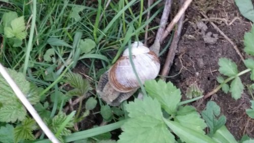 IMG-20180425-WA0017.jpg