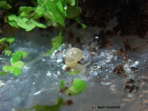 RIMG0050verkl. (c).jpg