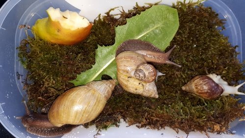 IMG-20180428-WA0008.jpeg