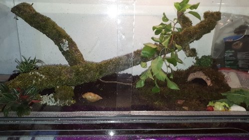 IMG-20180429-WA0029.jpeg