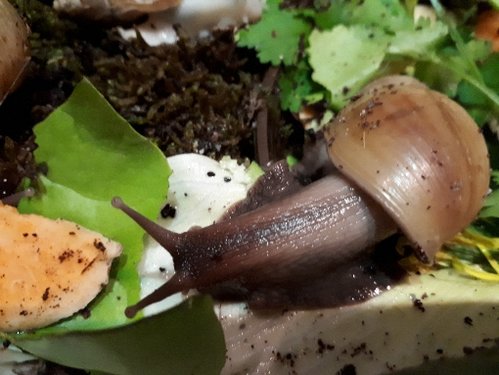 20180502_224350.jpg