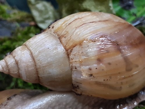 20180511_191446.jpg