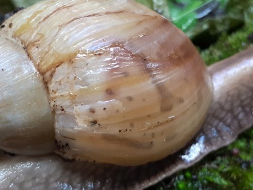 20180511_191437.jpg