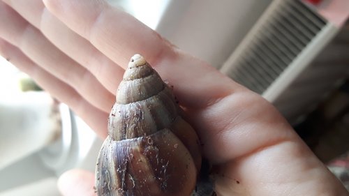 20180519_083813.jpg