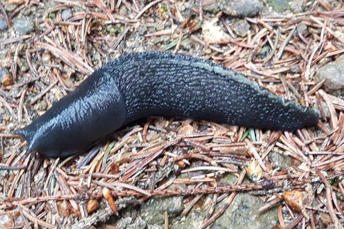 20180510_174643.jpg