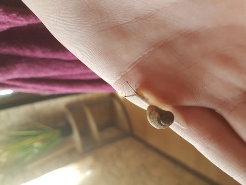 20180523_144559.jpg