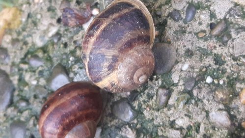 20180611_193828.jpg