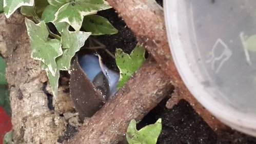 20180626_145308.jpg