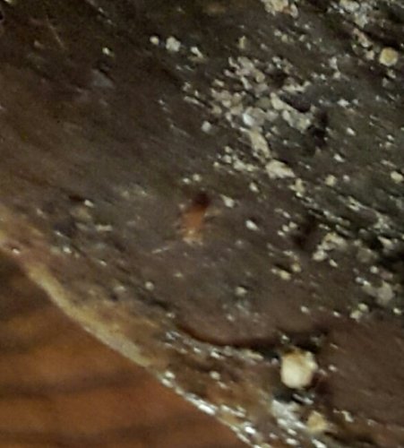 2018-06-26 17.09.57.jpg