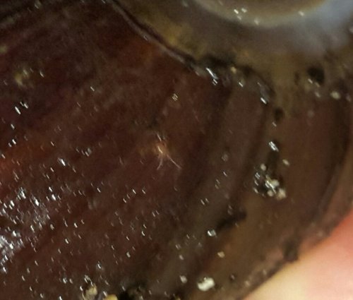 2018-06-26 17.10.21.jpg