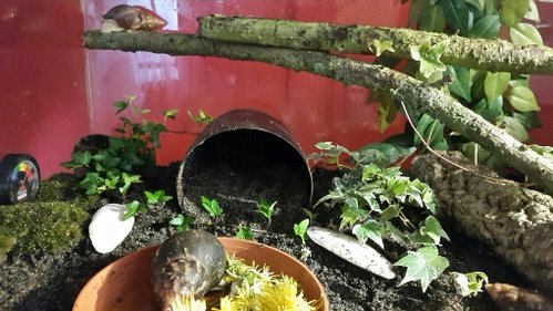 2018-06-26 22.16.30.jpg