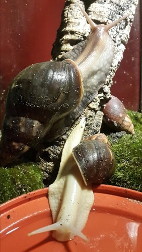 2018-06-26 22.17.55.jpg