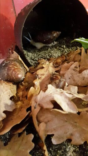 2018-06-26 22.17.31.jpg