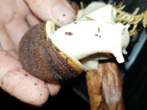 20180628_050054.jpg