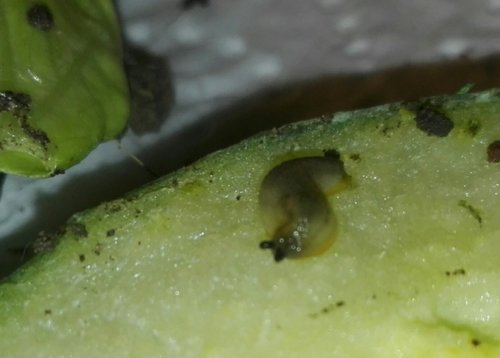 IMG_20180629_152008.jpg