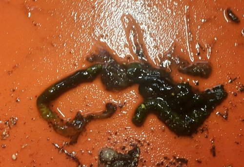 2018-07-03 14.14.31.jpg