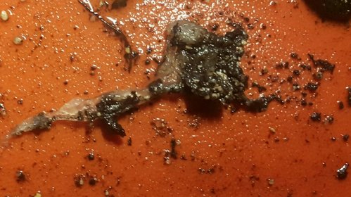 2018-07-03 14.14.52.jpg