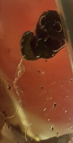 2018-07-03 22.11.03.jpg