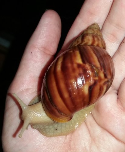 20180729_203442.jpg