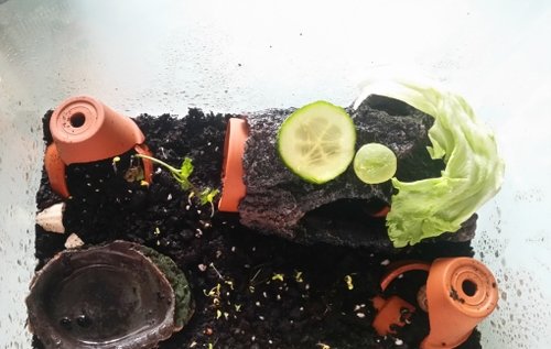 20180731_190617.jpg