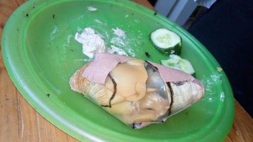 IMG-20180729-WA0009.jpeg