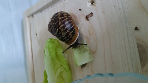 20180604_195757.jpg