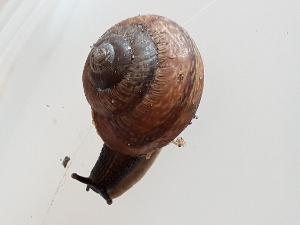 20180818_141241.jpg