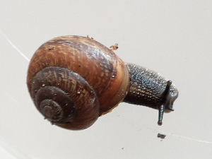 20180818_141254.jpg