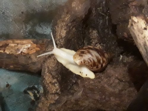 20180820_210924.jpg
