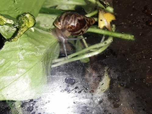 20180820_210945.jpg