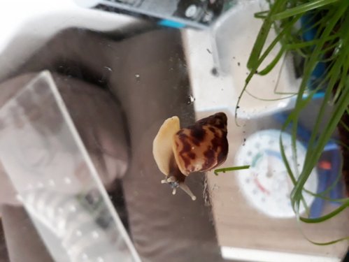 20180821_103818.jpg