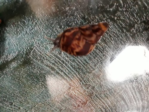 20180821_103828.jpg