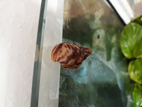 20180821_103831.jpg