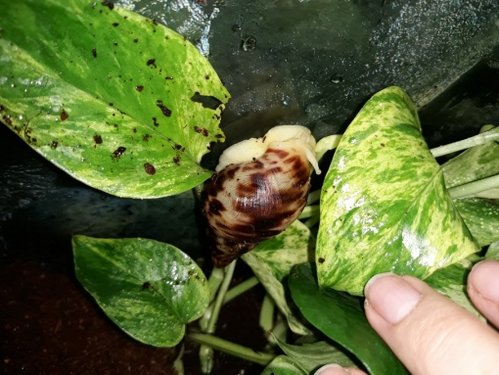 20180821_103909.jpg