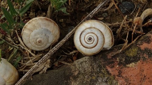 RSM299 180711 Parco Montelupo San Marino_tn.jpg