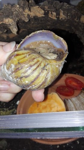 IMG-20180921-WA0031.jpeg