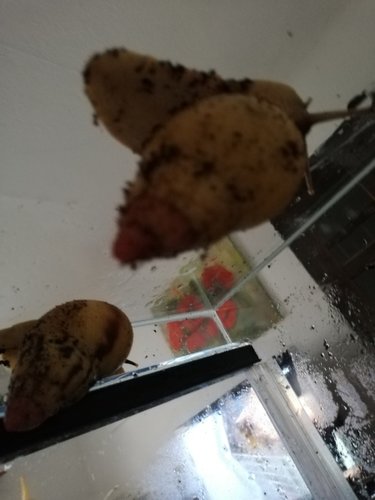 IMG_20180926_134601.jpg