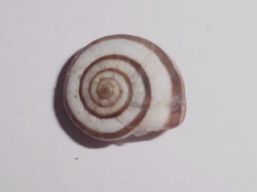 20181012_3501a.jpg
