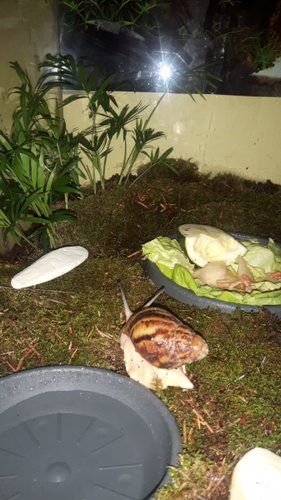 IMG-20181027-WA0017.jpg