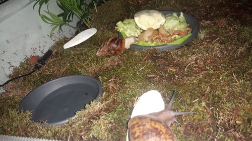 IMG-20181028-WA0000.jpg