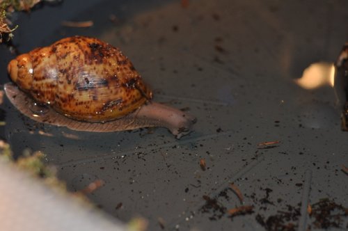DSC_0124.JPG