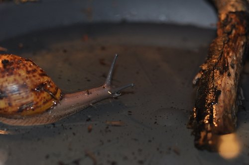 DSC_0128.JPG