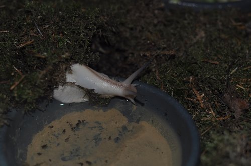 DSC_0006.JPG