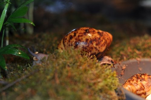 DSC_0023.JPG