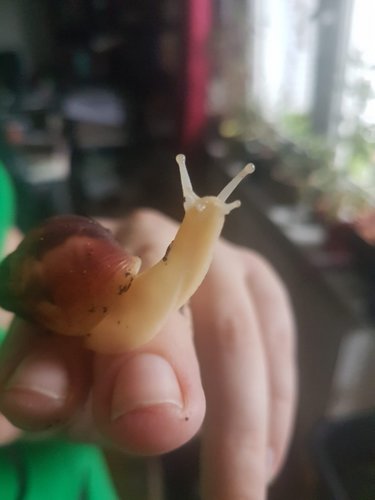 WhatsApp Image 2018-11-04 at 12.05.21.jpeg