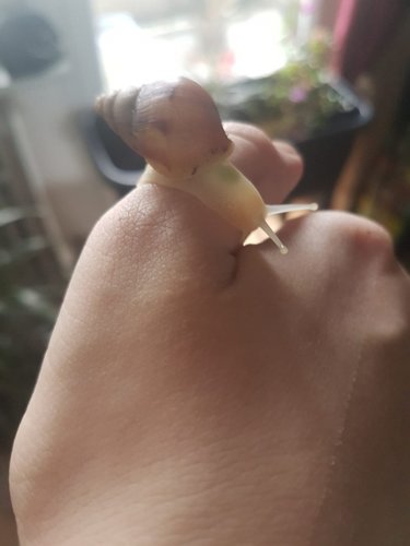 WhatsApp Image 2018-10-23 at 10.15.33.jpeg