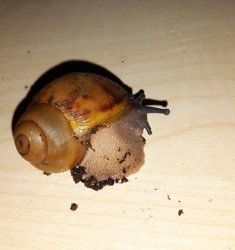 20181107_165709.jpg