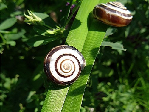 DSC09939 Ausschnitt, Schärfe, klein.jpg